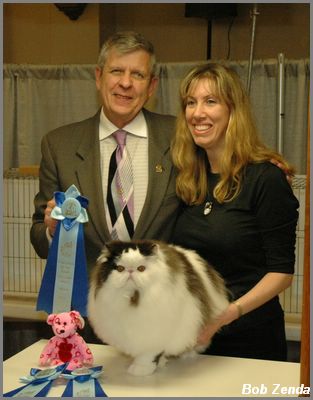 Designerpurr Az Jax of  Purrden Me
